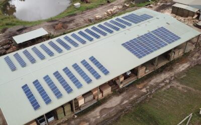 100kw System Installed at Hayters Sawmill | Werombi, NSW